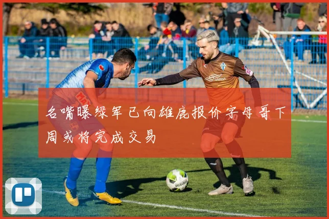 名嘴曝绿军已向雄鹿报价字母哥下周或将完成交易