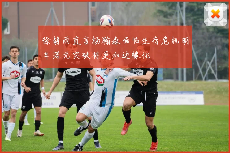 徐静雨直言杨瀚森面临生存危机明年若无突破将更加边缘化